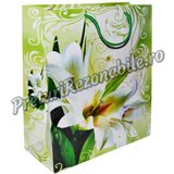 Punga cadou 27x38